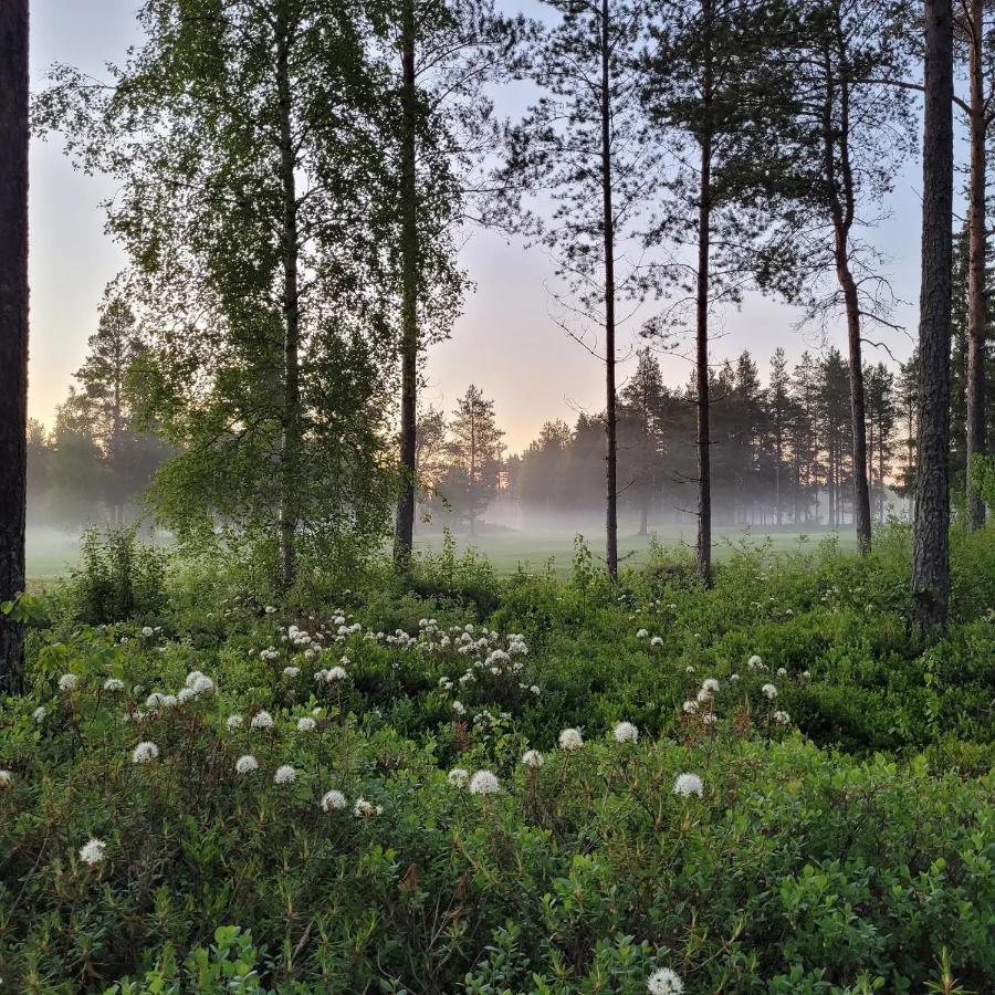 Siikavilla, Siikajoki Esterno foto